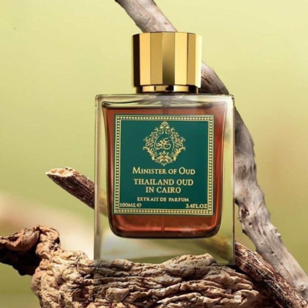 Ministry of Oud Thailand Oud in Cairo Extrait 100ml