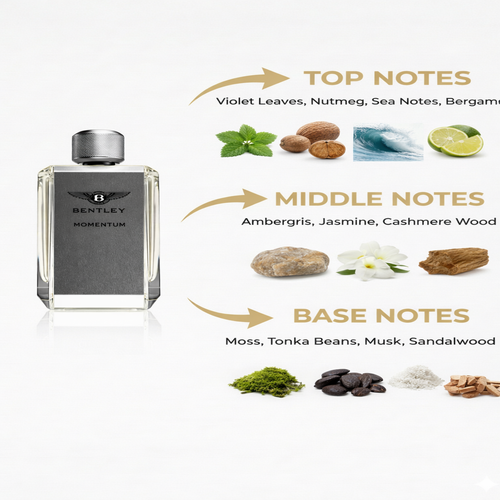Bentley Momentum EDT for Men – Woody Elegant Fragrance