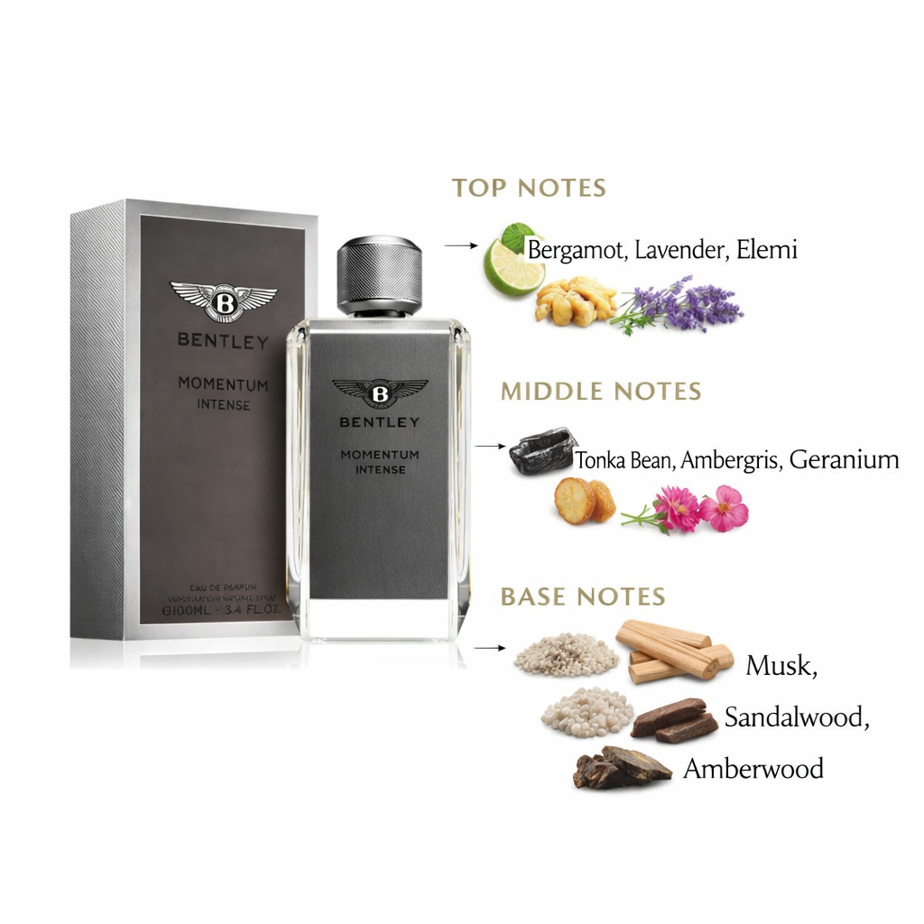 Bentley Momentum Intense EDP | Aromatic Woody Masculine Scent