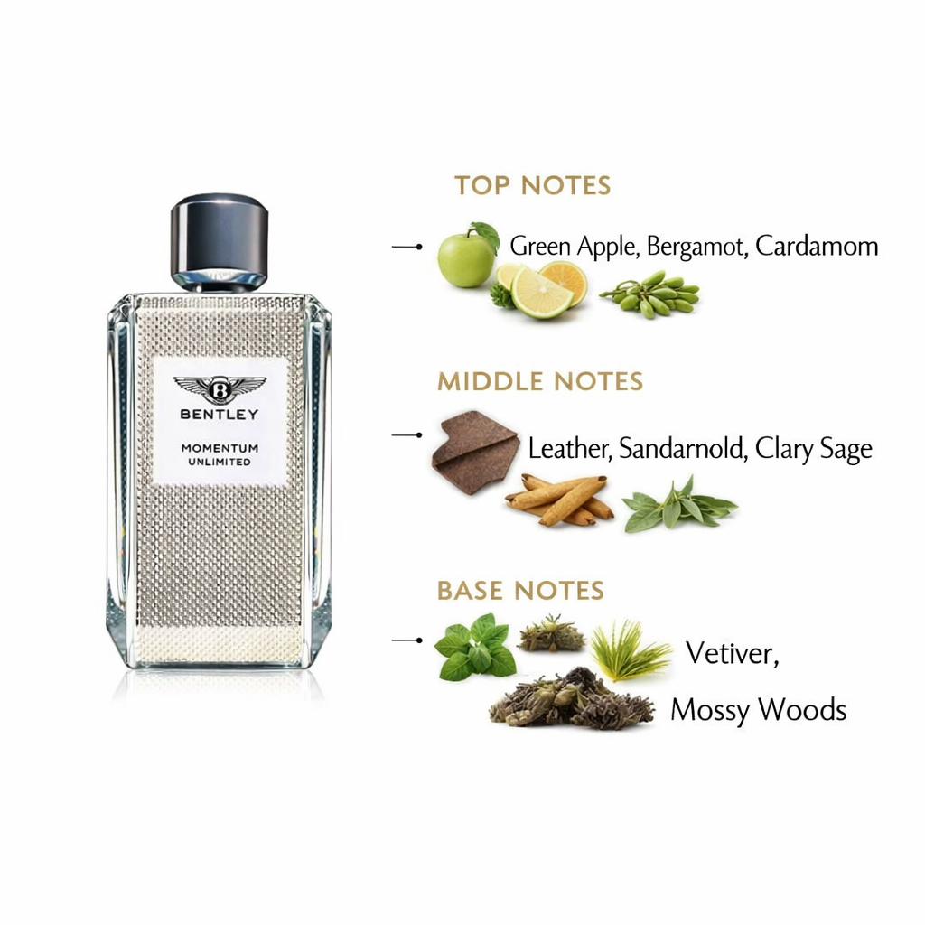 Bentley Momentum Unlimited EDT | Spicy Woody Leather Scent