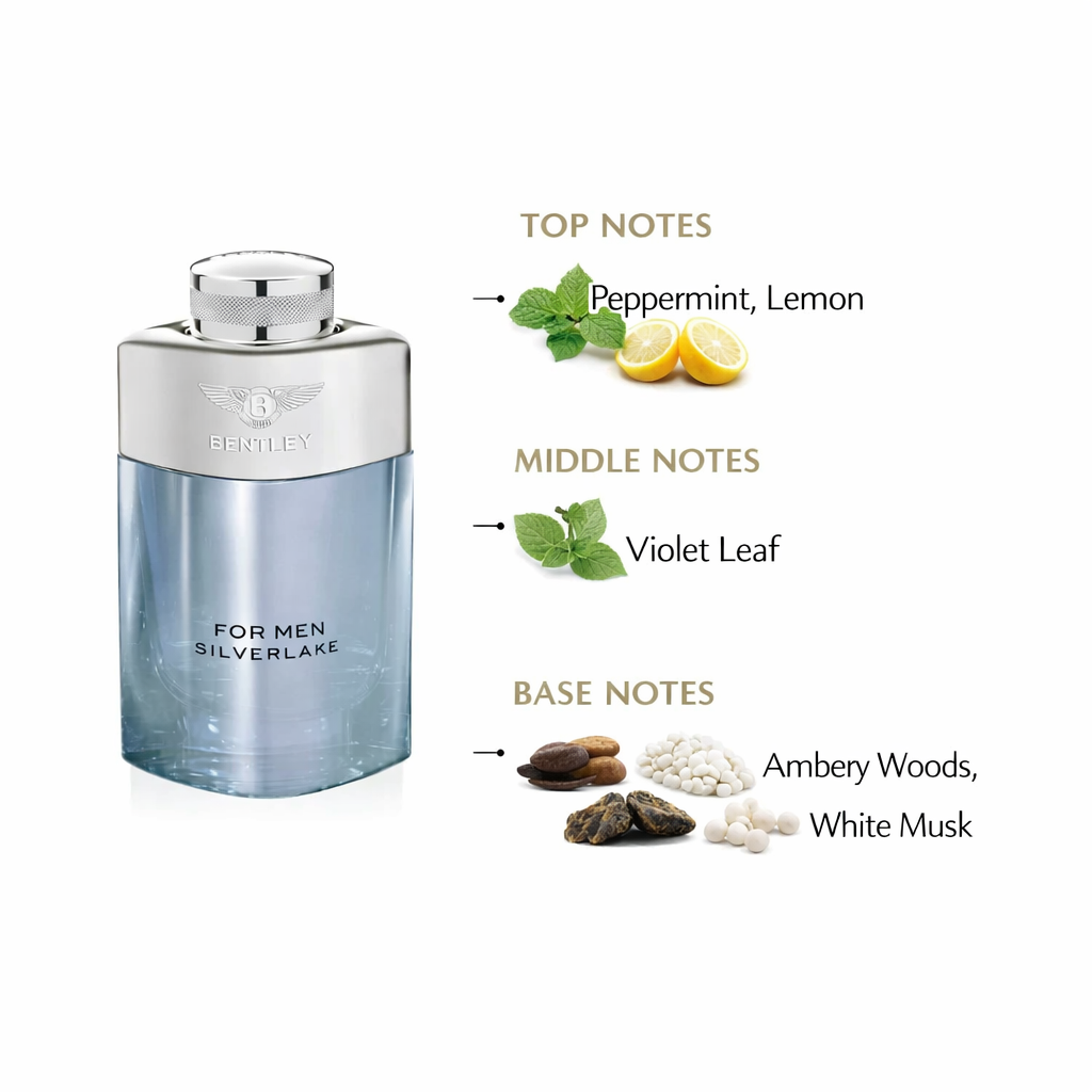 Bentley For Men Silverlake EDP | Fresh Icy Woody Fragrance