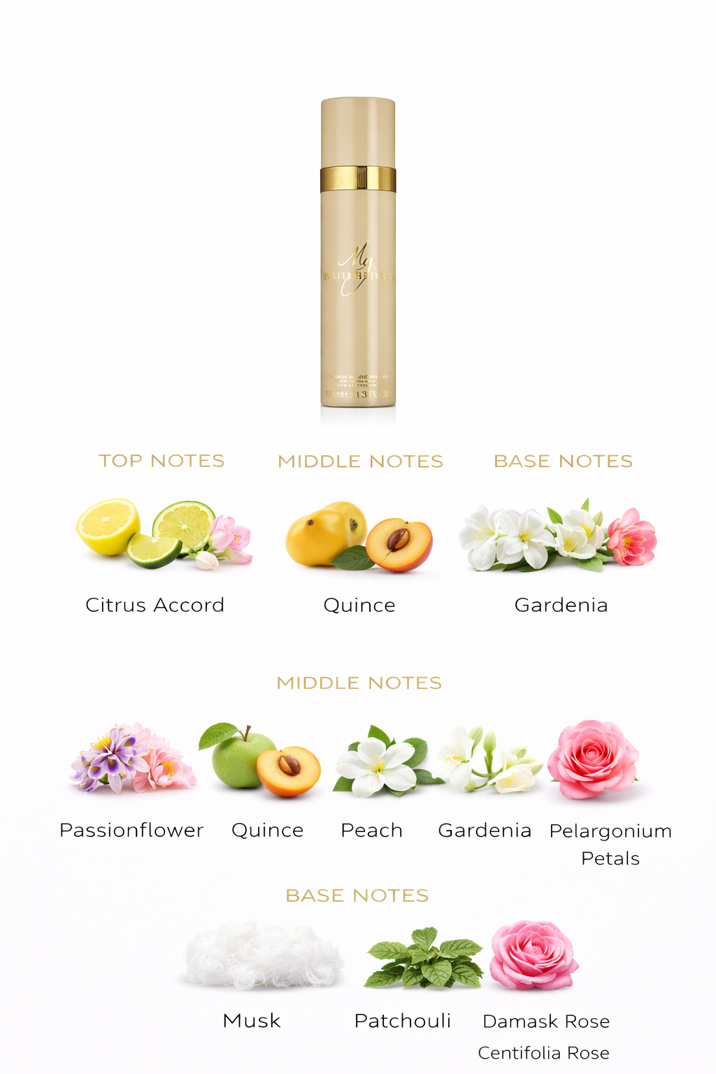 Elegant Fruity Floral Women’s Perfume | Rose & Musk