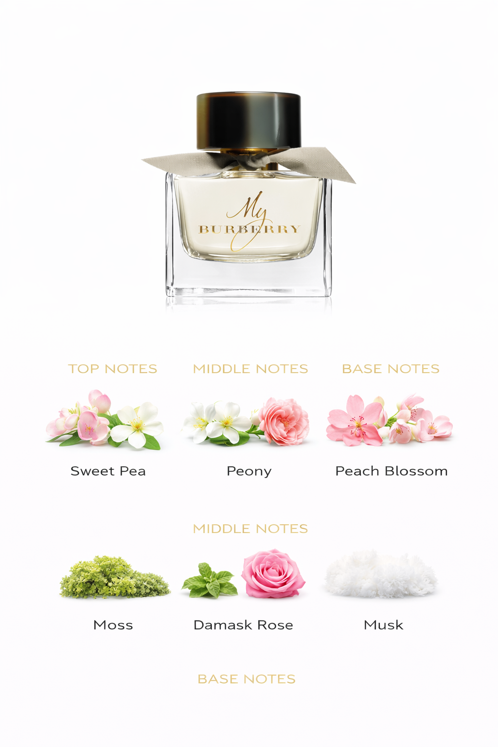 My Burberry Eau de Toilette | Soft Floral Women’s Fragrance