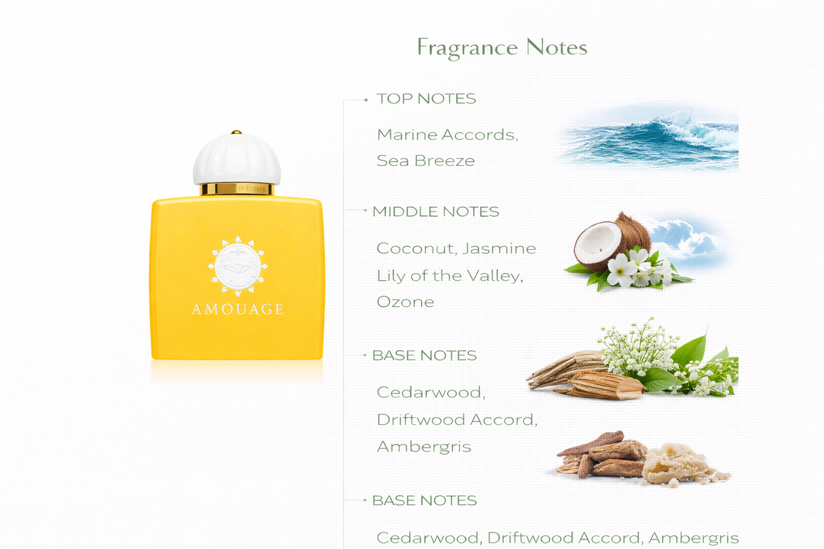 Deserted Beach Perfume | Marine Breeze, Coconut & Driftwood