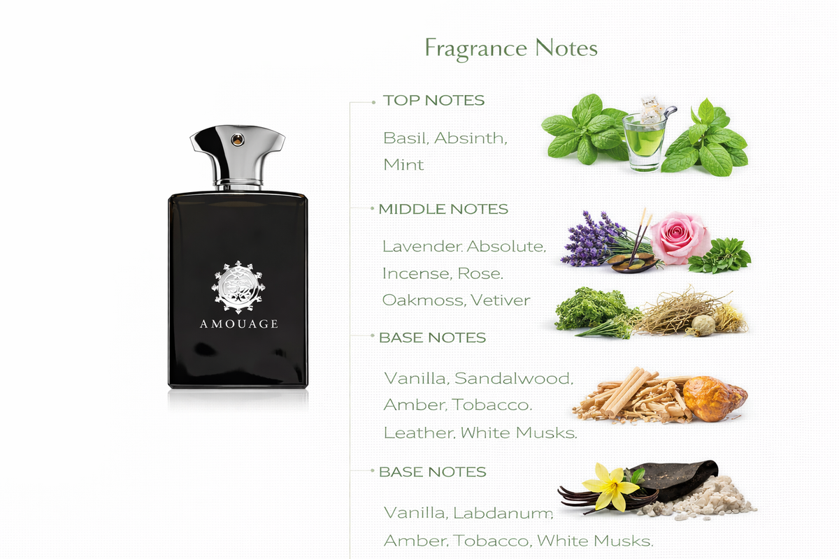 Memoir Man Perfume | Absinthe, Incense & Leather
