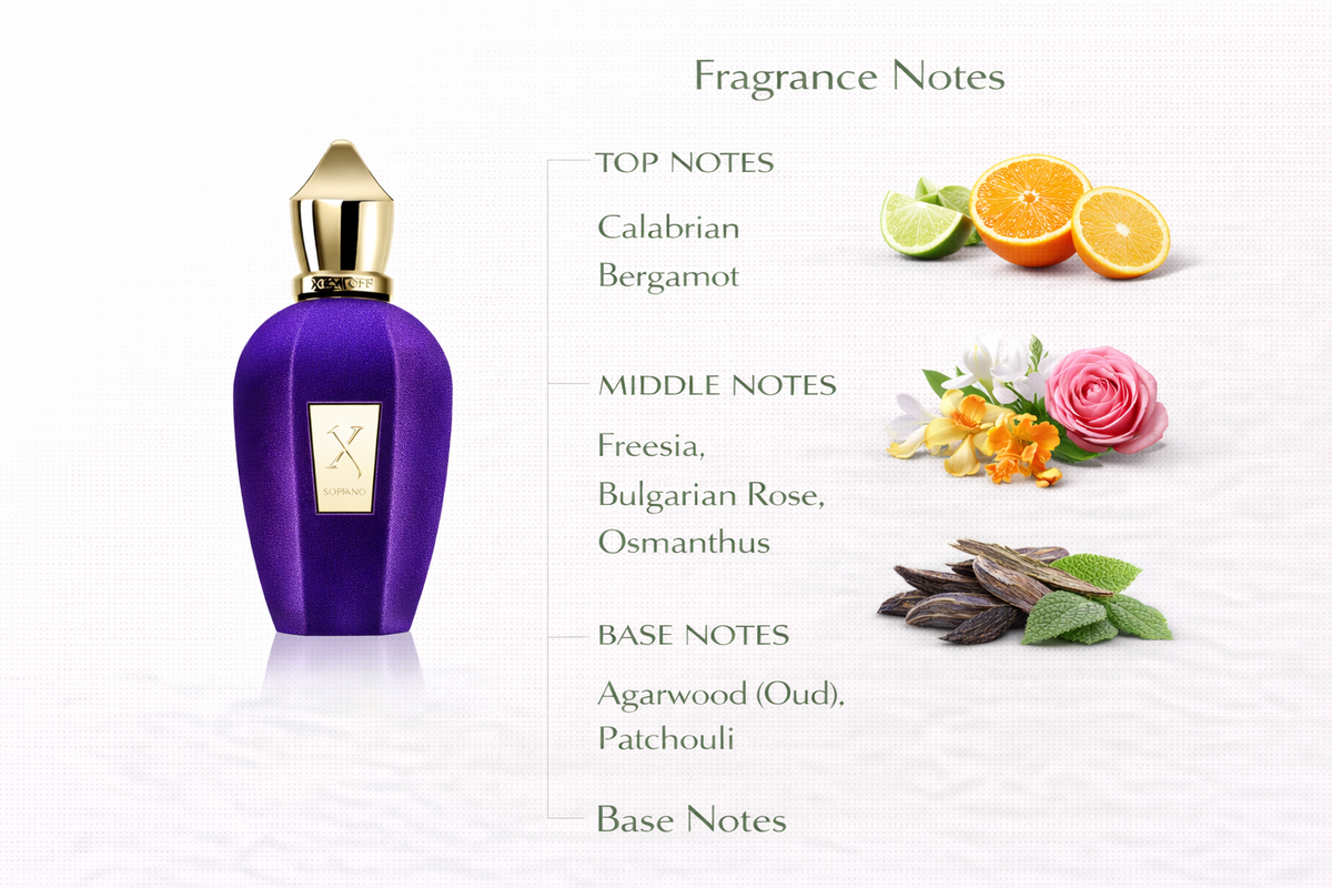 Soprano Perfume | Rose, Oud & Oriental Florals