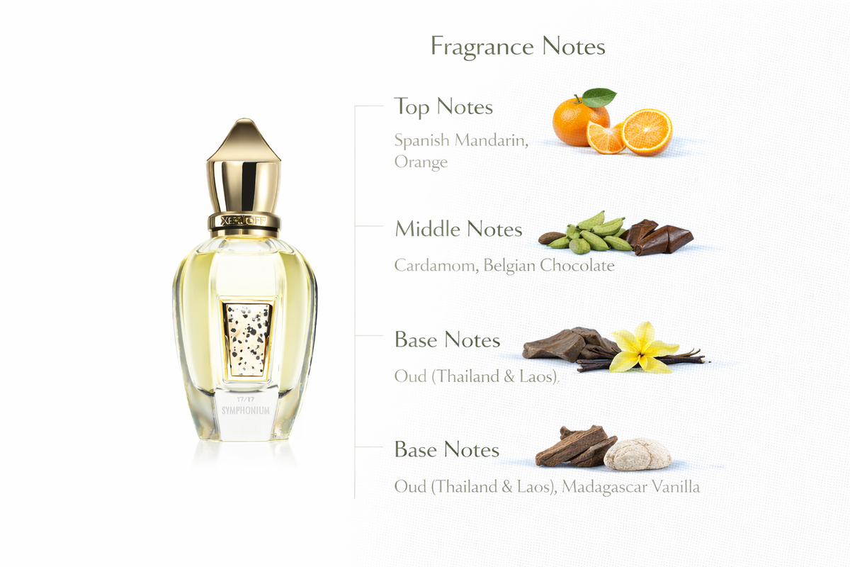 Symphonium Perfume | Chocolate, Oud & Citrus
