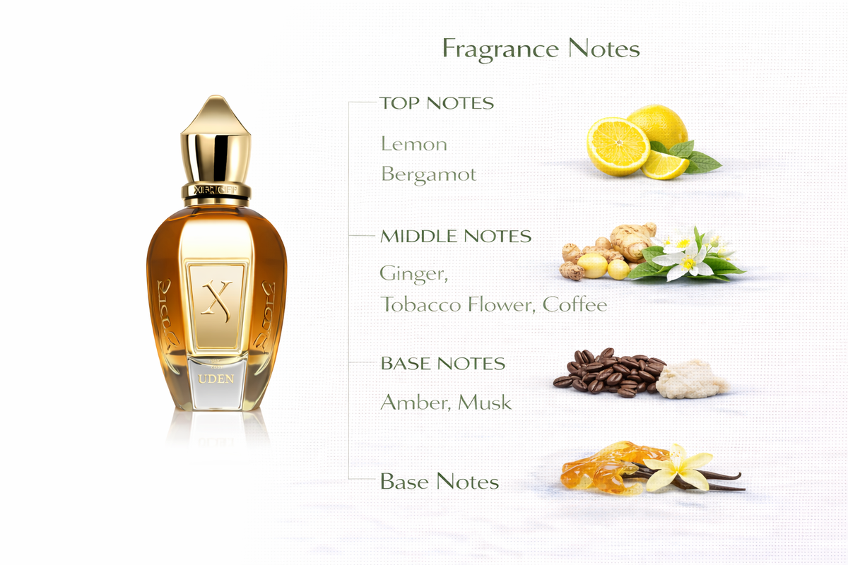 Uden Overdose Perfume | Citrus, Coffee & Amber