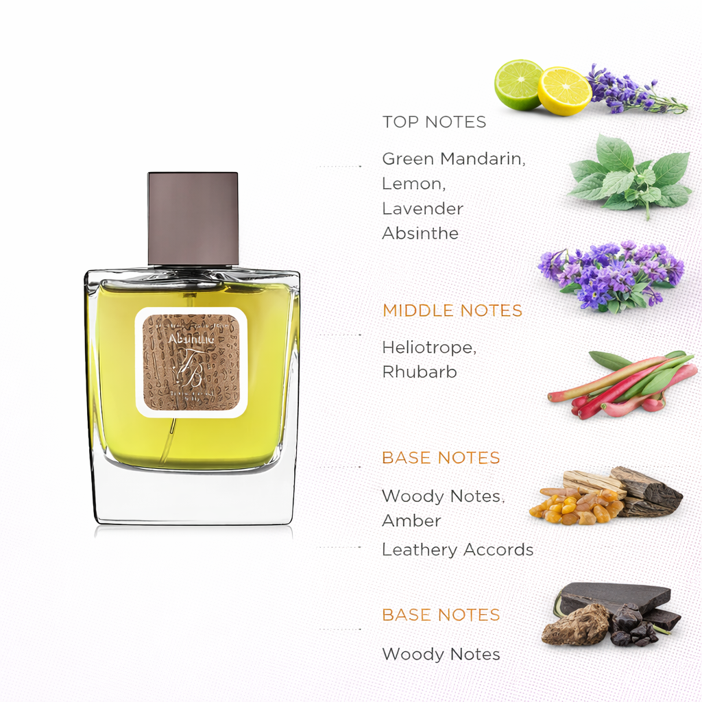 Fresh Aromatic Woody Fragrance | Citrus, Absinthe & Amber Notes