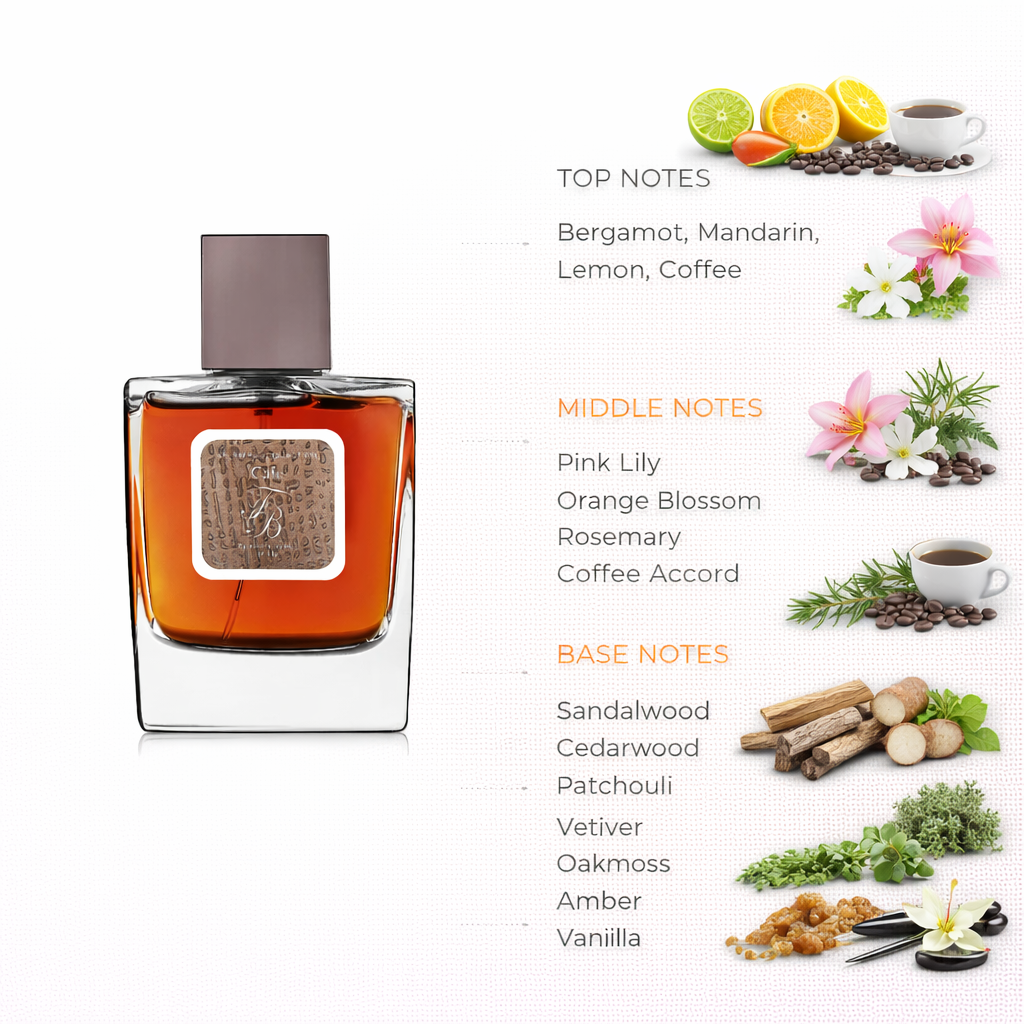 Café Fragrance | Gourmet Coffee & Woody Amber Scent