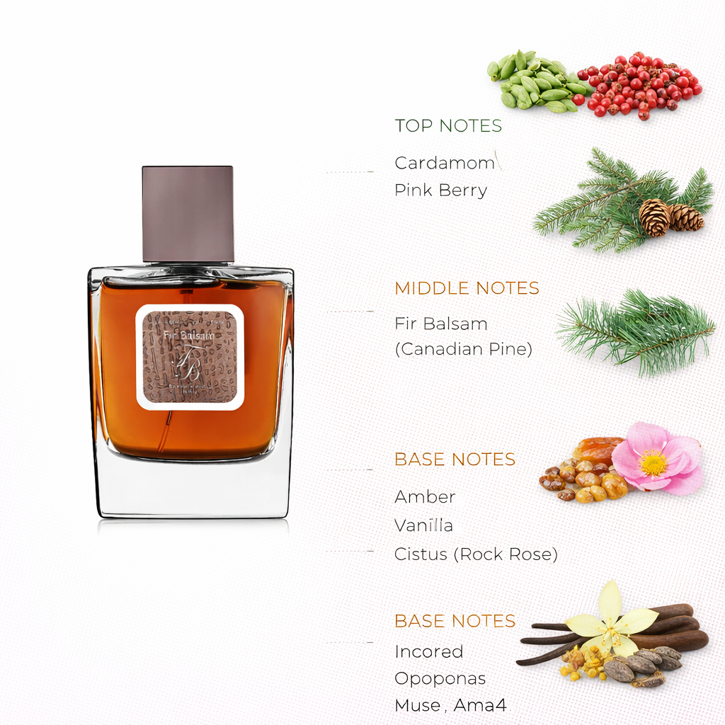 Soft Woody Amber Men’s Fragrance | Cardamom, Fir & Vanilla Scent