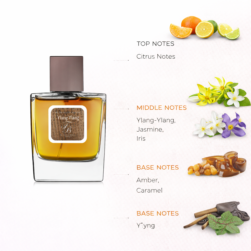Feminine Floral Amber Fragrance | Citrus, Jasmine & Caramel Scent