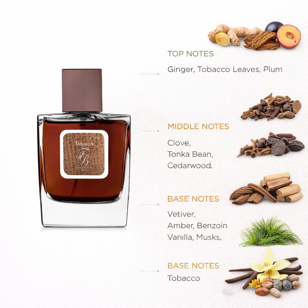 Spicy Tobacco Amber Fragrance | Ginger, Tonka & Vanilla Scent