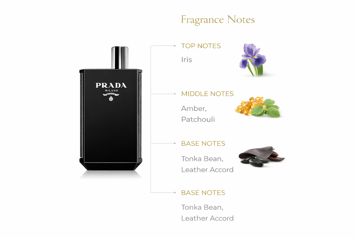 L’Homme Prada Intense Eau de Parfum | Bold Iris & Amber Fragrance for Men