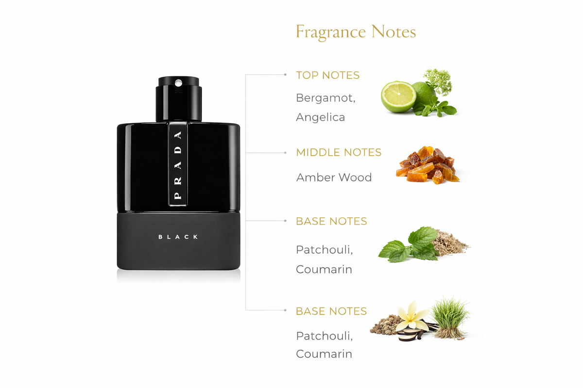 Prada Black Eau de Parfum | Dark Amber & Patchouli Fragrance for Men