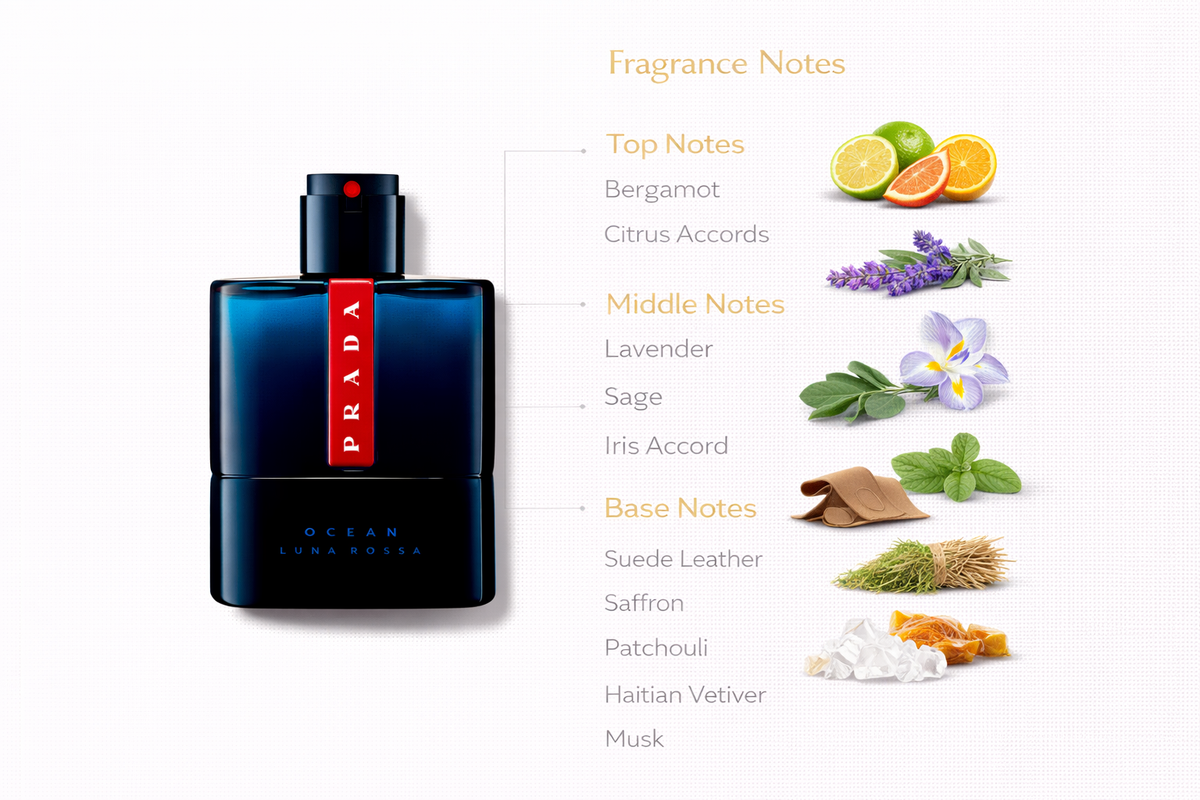 Prada Luna Rossa Ocean Eau de Parfum for Men | Fresh Fougère Fragrance
