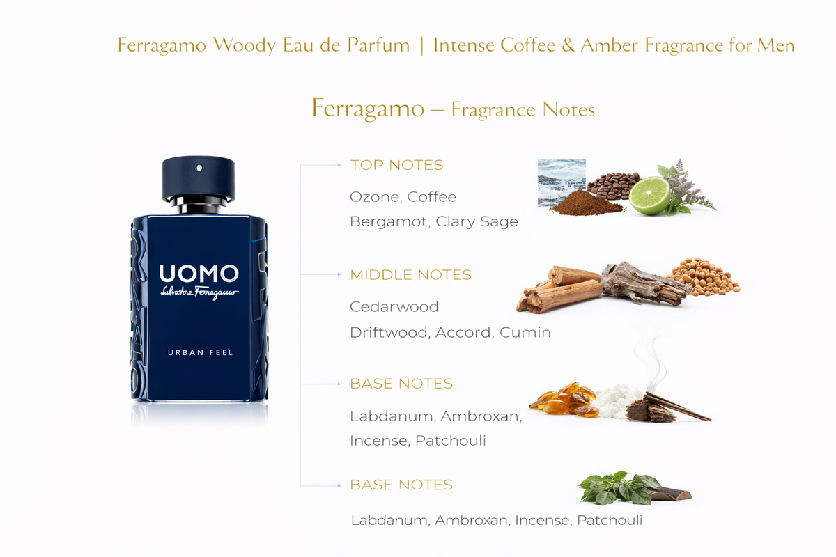 Ferragamo Woody Eau de Parfum | Intense Coffee & Amber Fragrance for Men