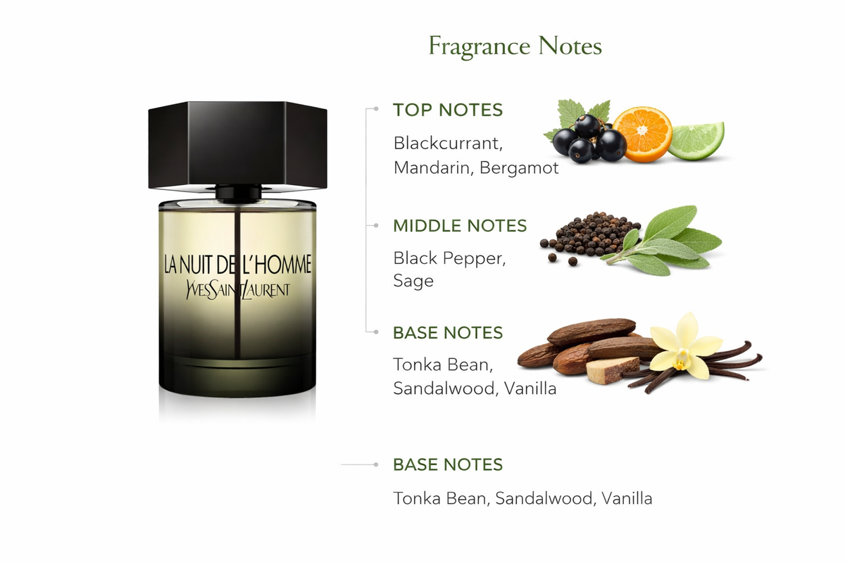Viktor & Rolf Spicebomb Night Vision Eau de Toilette for Men | Fresh Spicy Woody Fragrance