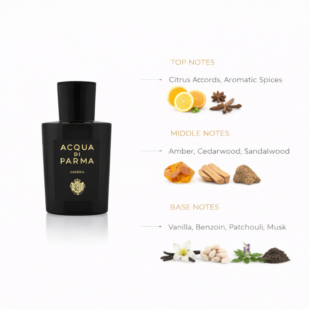 Acqua di Parma Ambra Eau de Parfum | Elegant Amber Woody Scent
