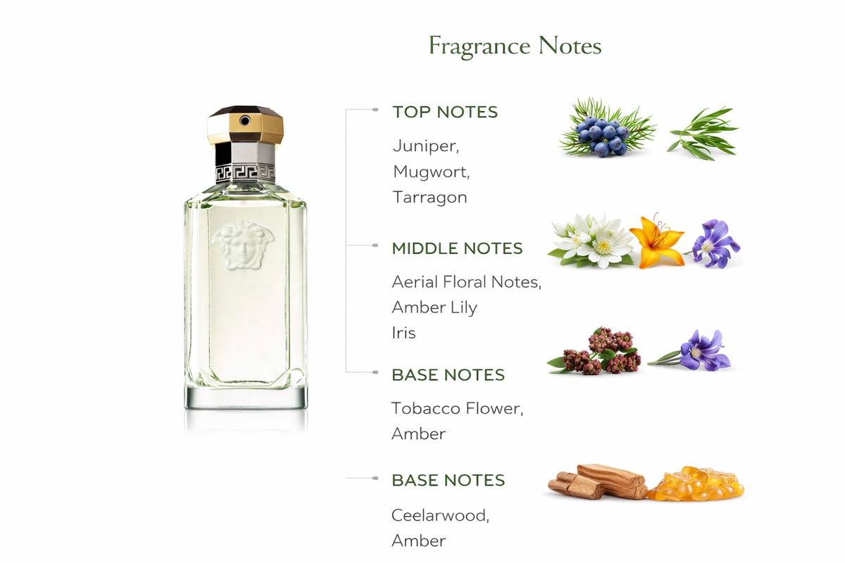 Versace The Dreamer Eau de Toilette for Men