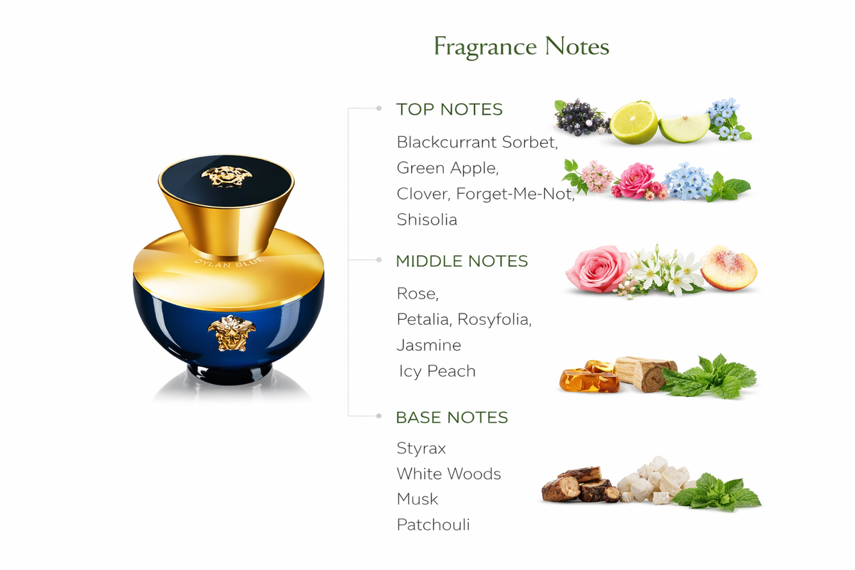 Versace Pour Femme Dylan Blue Eau de Parfum for Women