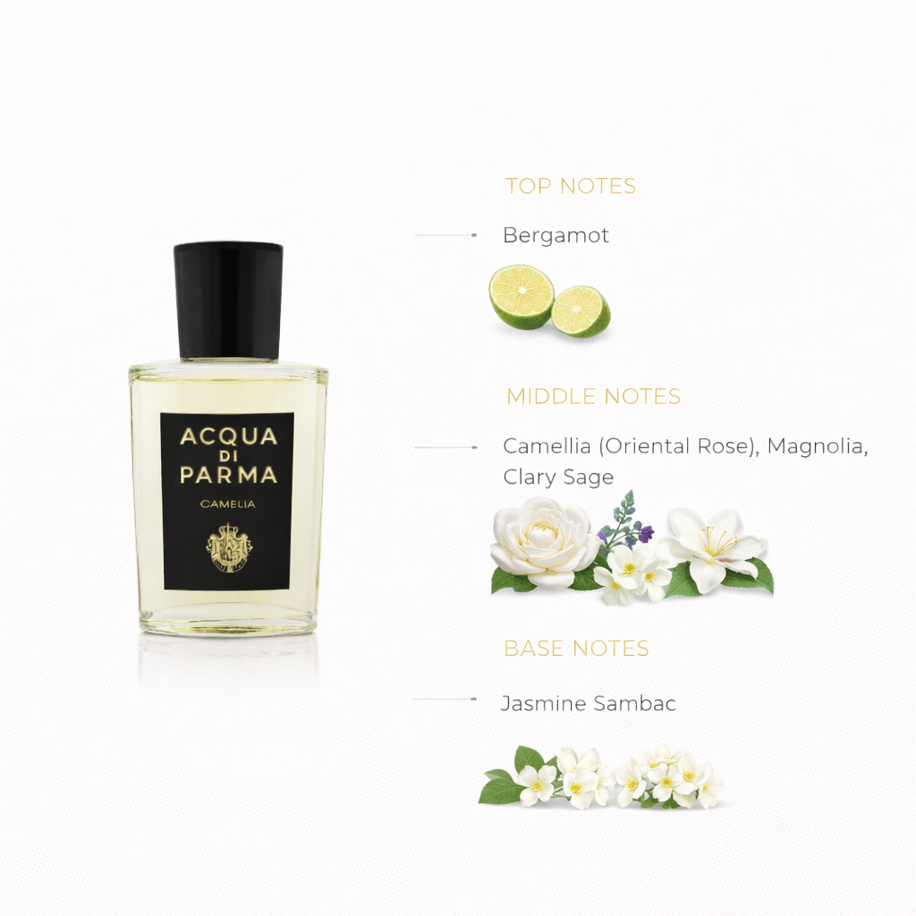 Camellia Floral Fragrance | Elegant Jasmine & Bergamot Scent