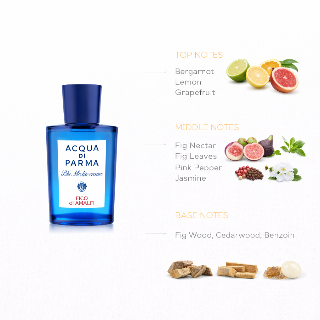 Acqua di Parma Fico di Amalfi Eau de Toilette | Fresh Fig Citrus Fragrance