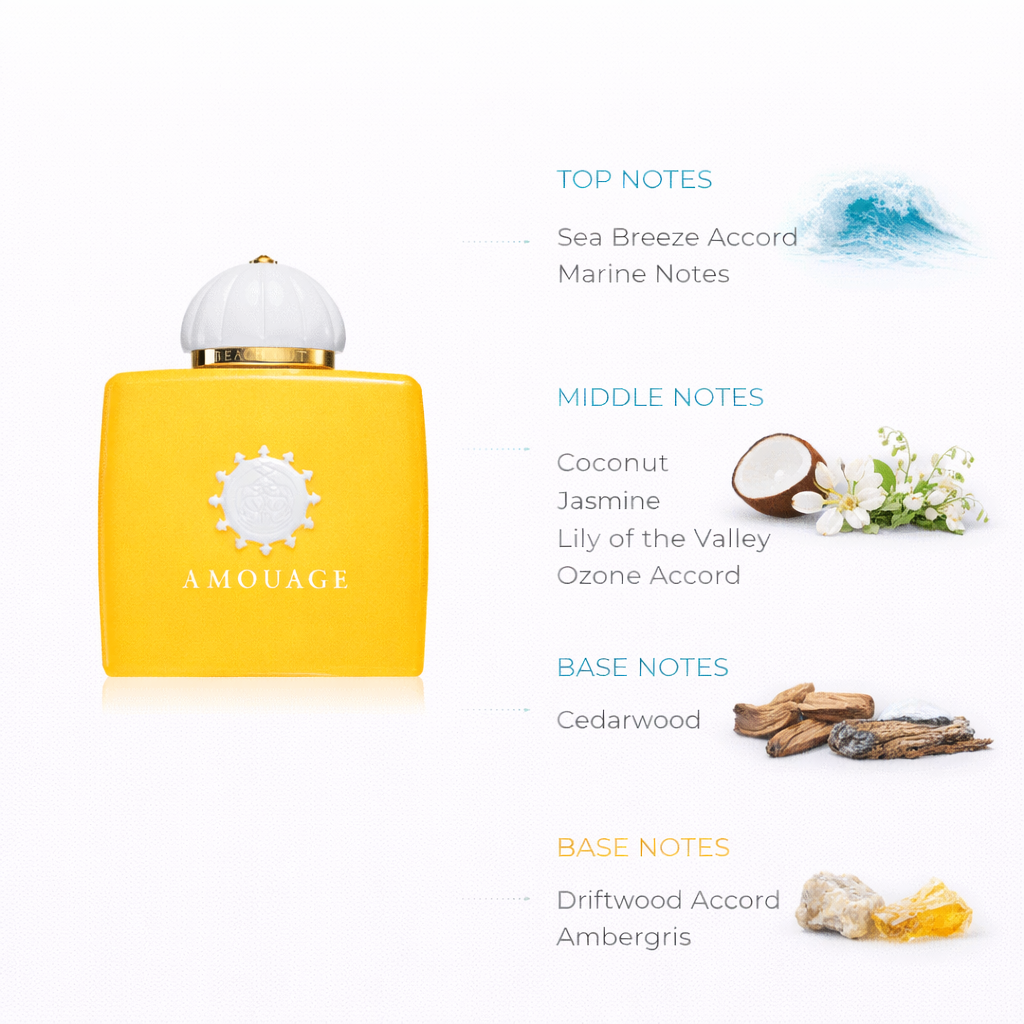 Deserted Beach Inspired Fragrance | Fresh Marine & Woody Scent