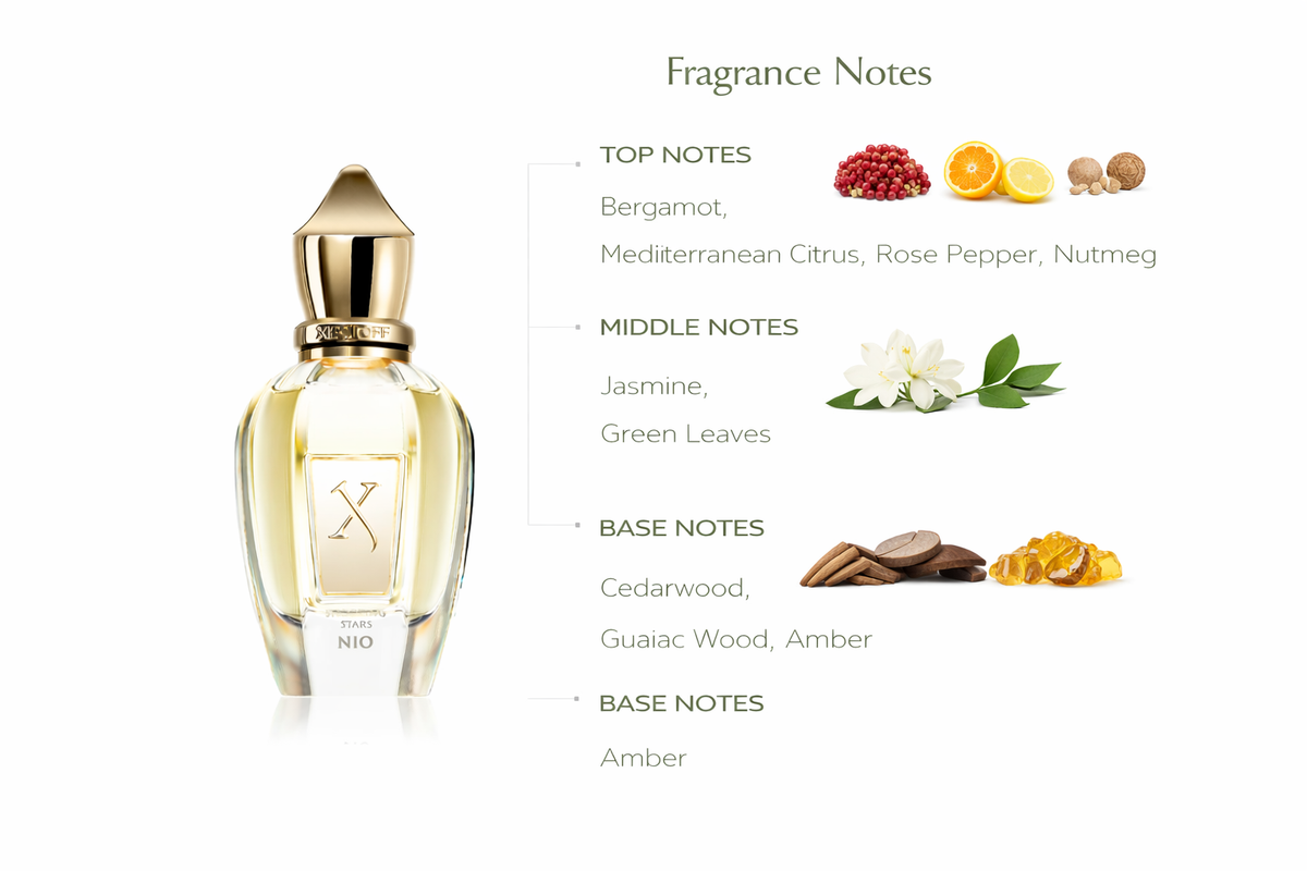Xerjoff Nio Eau de Parfum | Woody Aromatic Citrus Fragrance