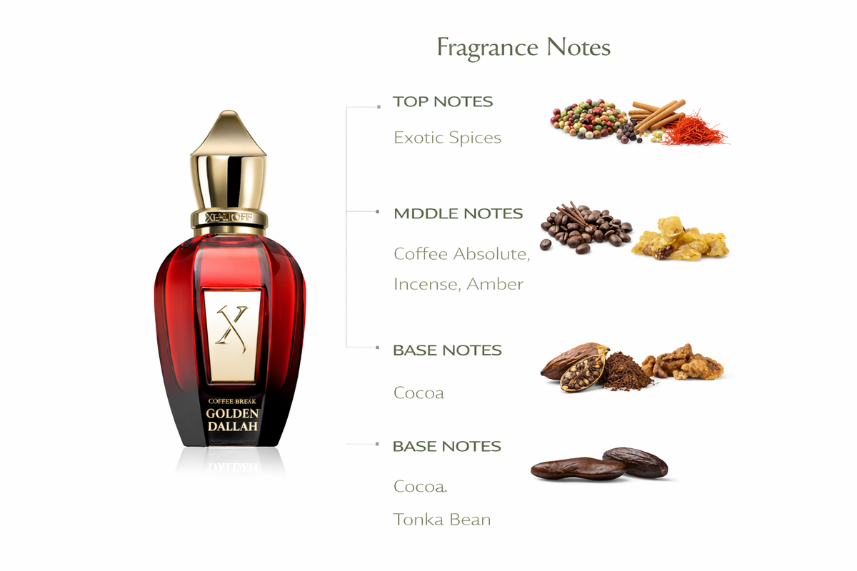 Xerjoff Golden Dallah Eau de Parfum | Spicy Coffee Amber Fragrance