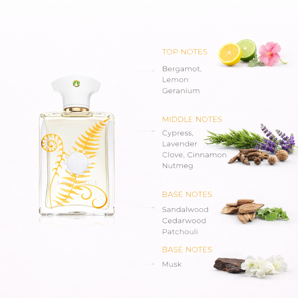 Classic Barbershop Fragrance | Fresh Aromatic Woody Scent