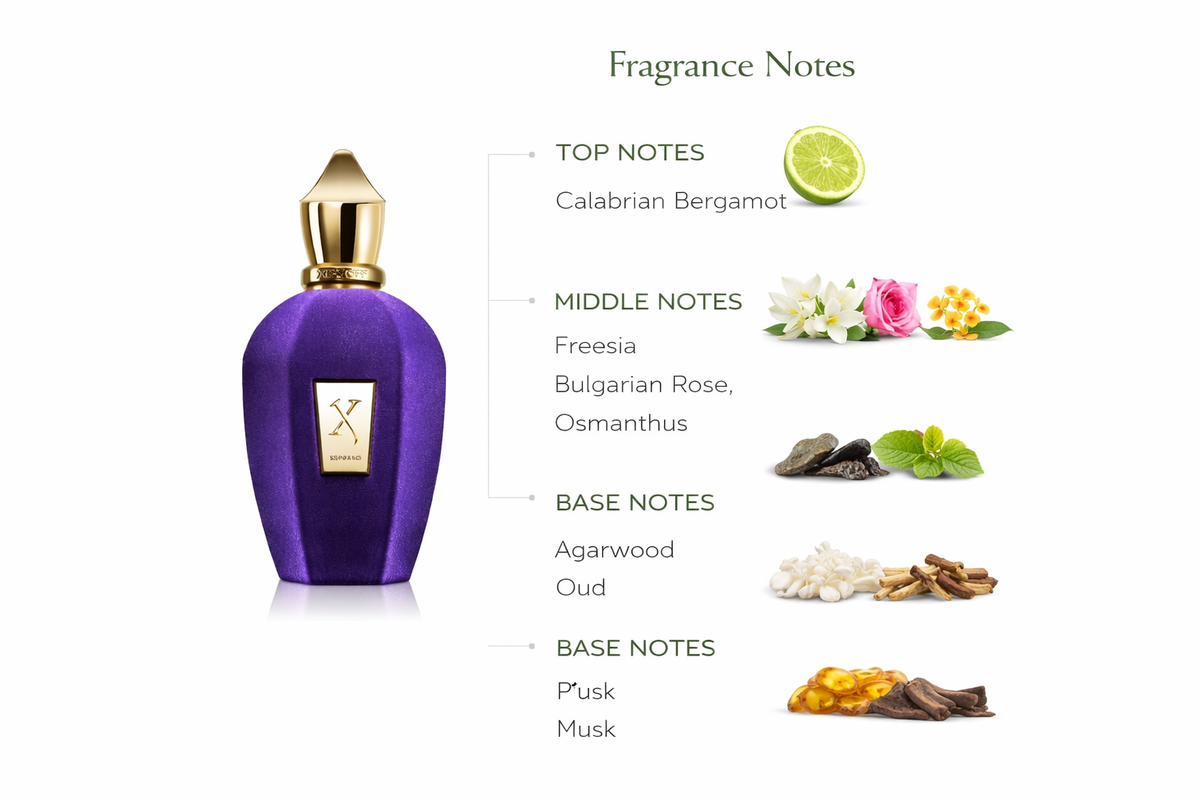 Xerjoff Soprano Eau de Parfum | Floral Oriental Oud Fragrance