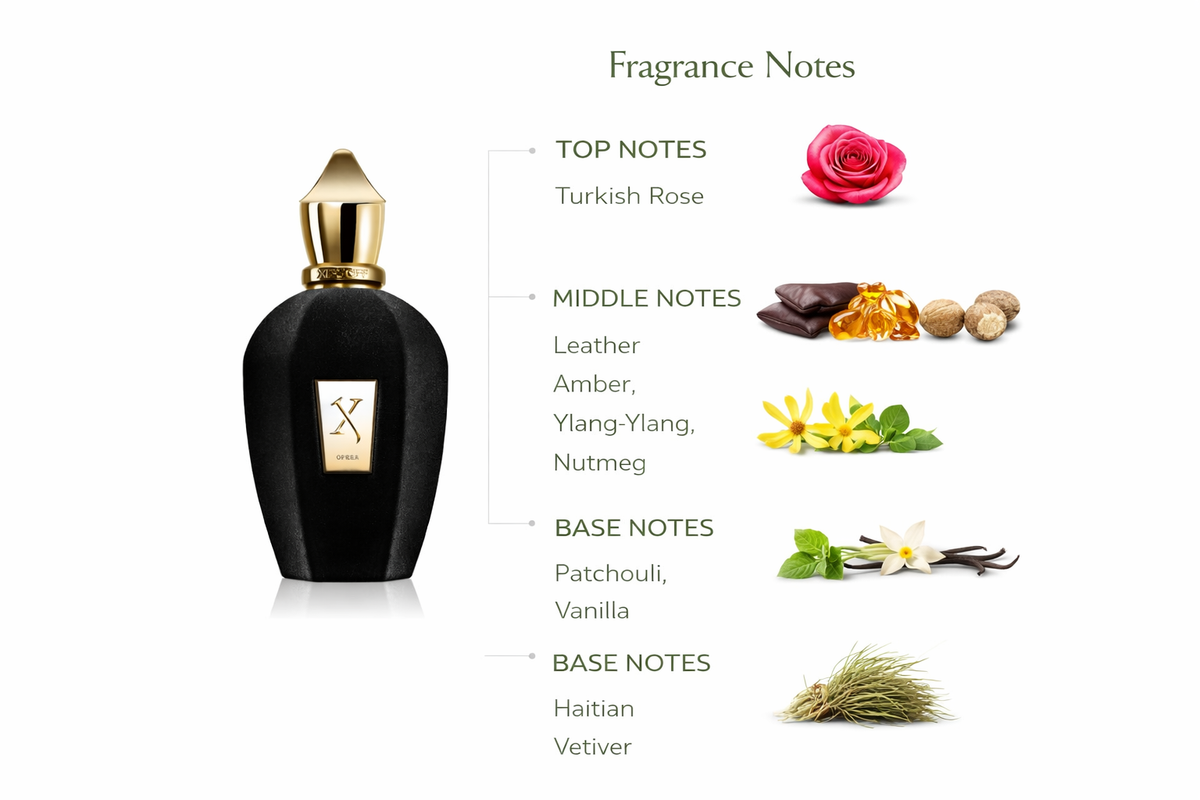 Xerjoff Opera Eau de Parfum | Opulent Floral Leather Oriental Fragrance