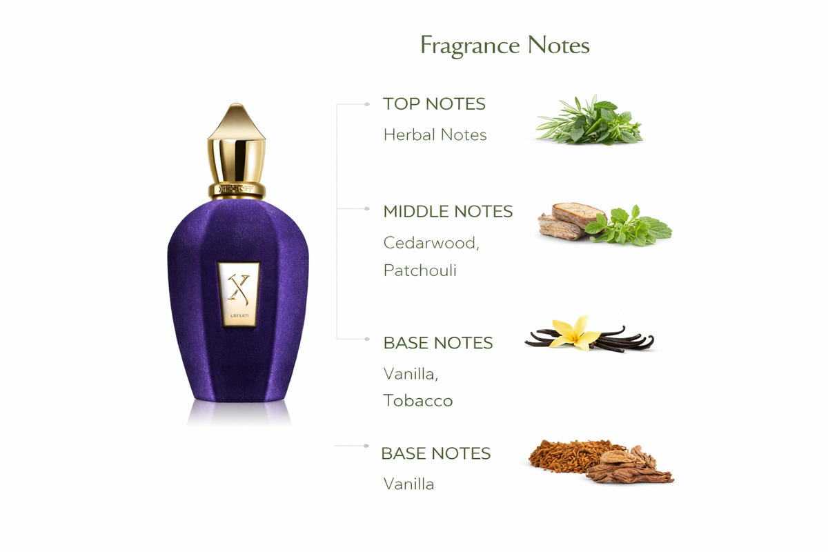Xerjoff Laylati Eau de Parfum | Intense Woody Aromatic Fragrance