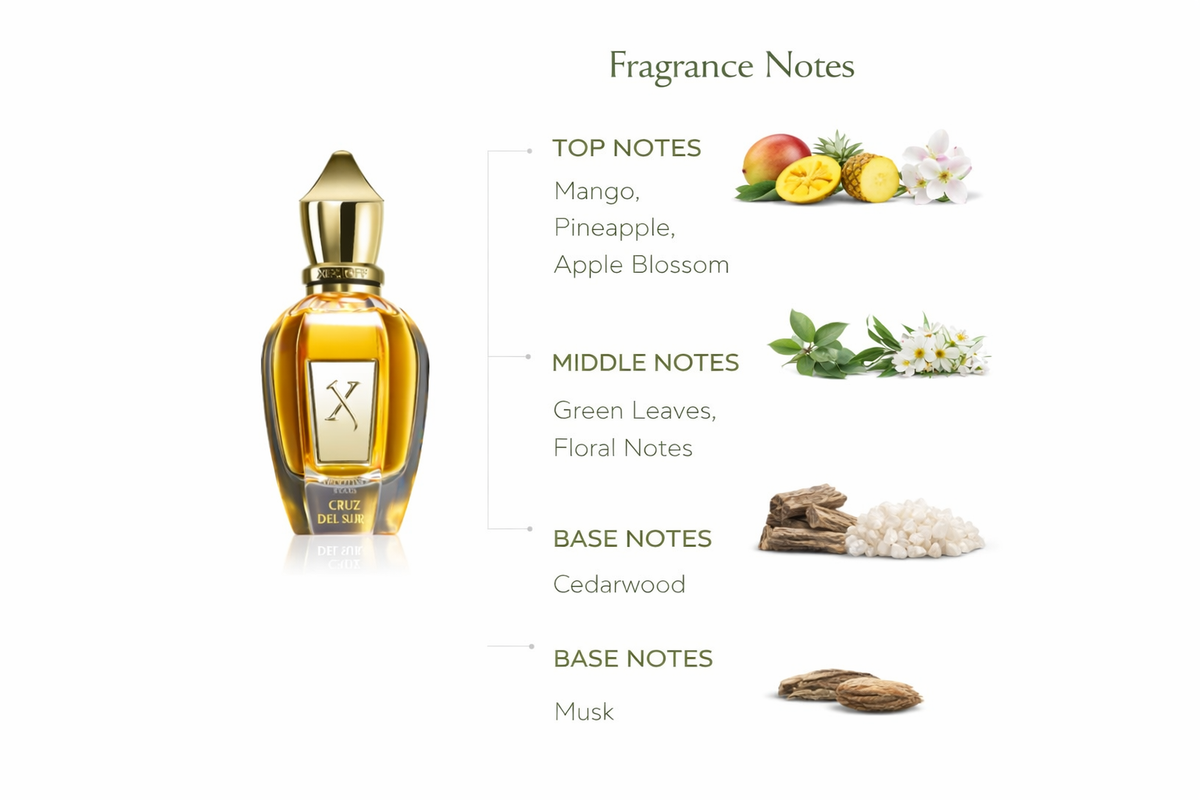 Xerjoff Cruz del Sur II Eau de Parfum | Tropical Fruity Floral Fragrance