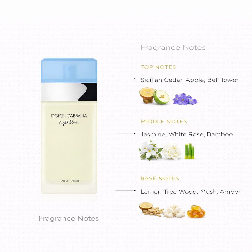 Dolce & Gabbana Light Blue Eau de Toilette | Fresh Summer Scent