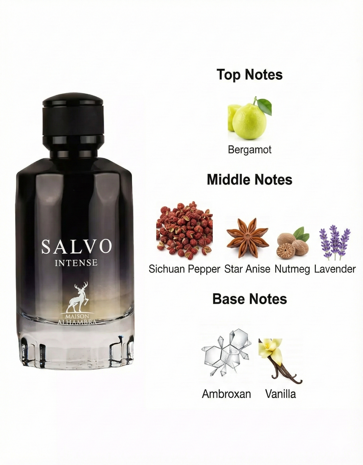 Maison Alhambra Salvo Intense EDP 100ml for Men