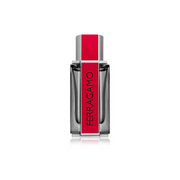 Red Leather Eau de Parfum | Powerful Leather Fragrance for Men