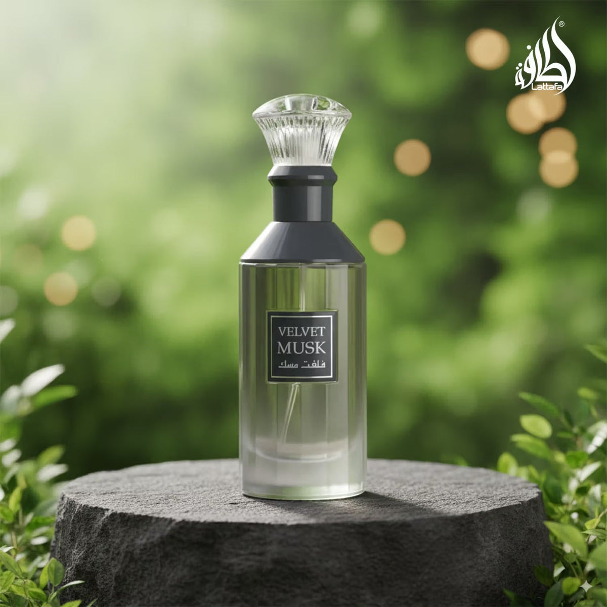 Lattafa Velvet Musk Eau de Parfum 100ml