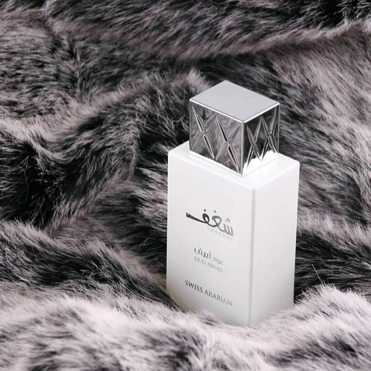 Swiss Arabian Shaghaf Oud Abyad EDP 75ml